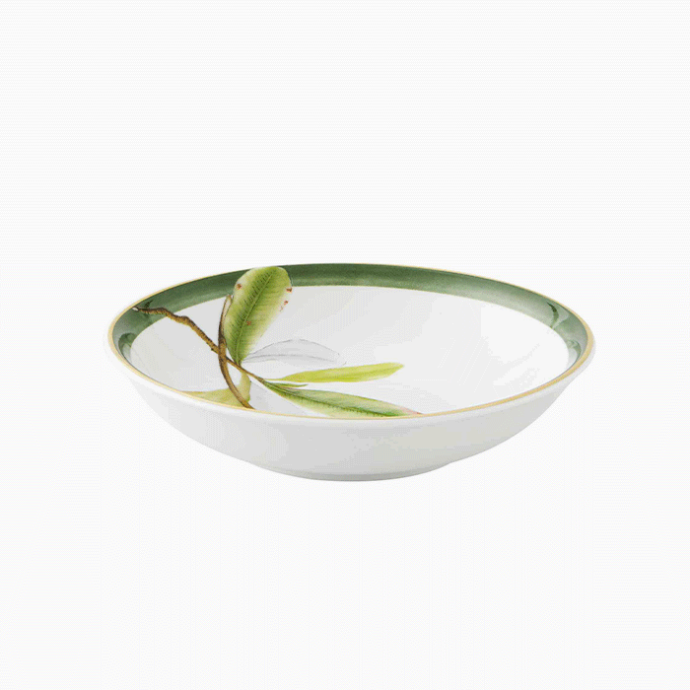 Amazonia Shallow Bowl - Set of 2