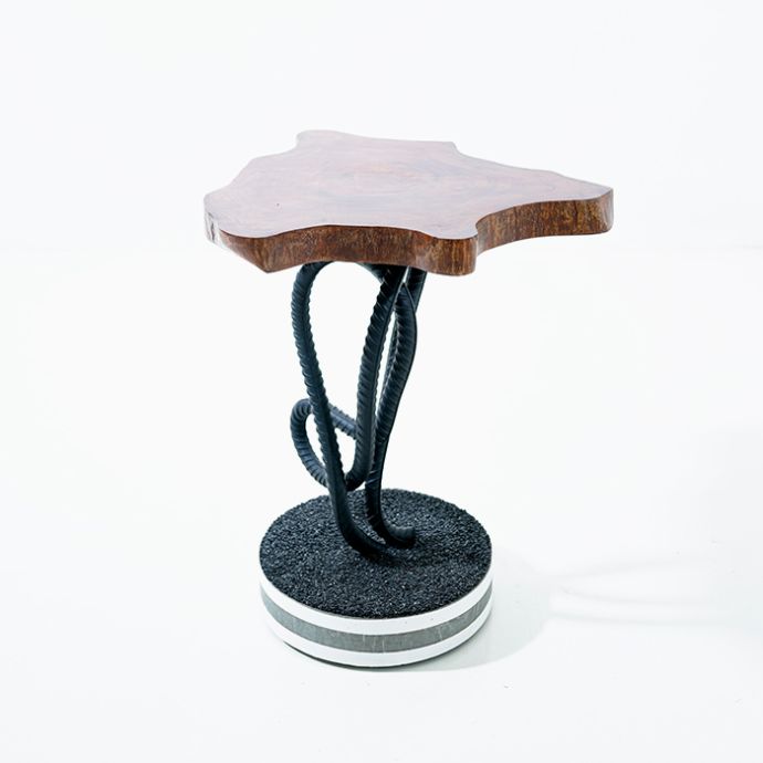 Amoeba Coffee Table