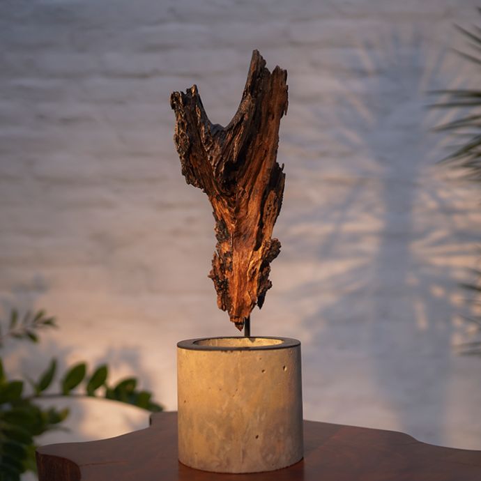 Rotten Artsy Lamp